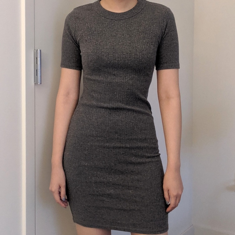Zara Knit Dress